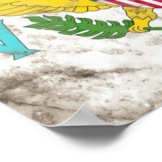 Poster Îles Virgin (Coin)