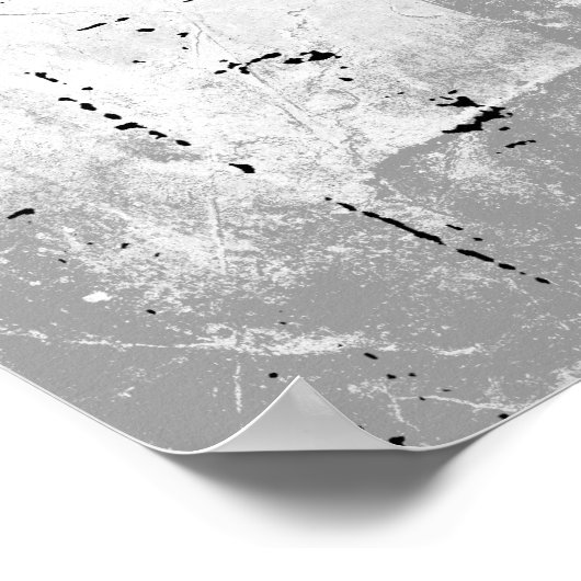 Poster Illinois pour Bernie Sanders (Coin)