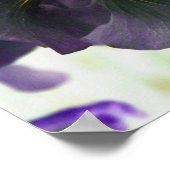 Poster Illuminated Japanese Iris Floral Print (Coin)