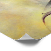 POSTER ILLUMINATION (Coin)