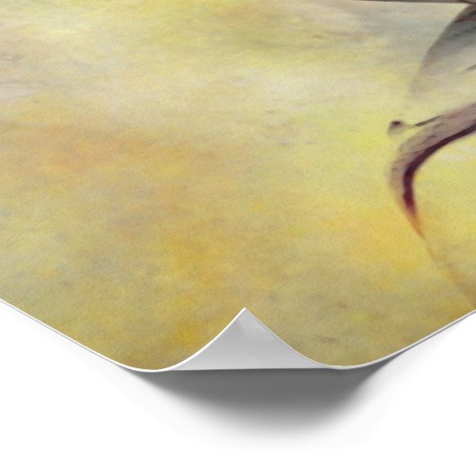 POSTER ILLUMINATION (Coin)