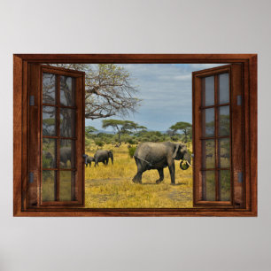Poster Illusion de fausse fenêtre - Eléphants africains