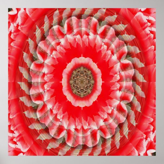 Poster Illusion de tulipe...... (Devant)