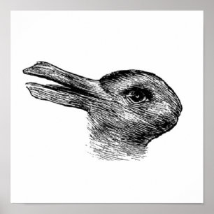 Poster illusion du canard de lapin