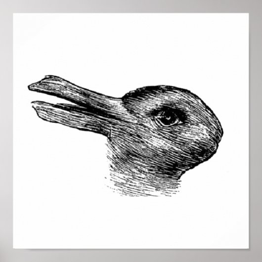 Poster illusion du canard de lapin (Devant)