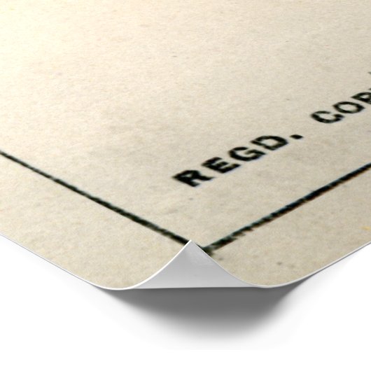 Poster Illusion optique, 1896 (Coin)