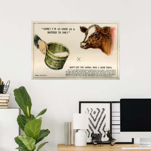 Poster Illusion optique, 1896 (Bureau à domicile)