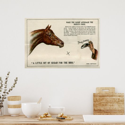 Poster Illusion optique 1896 (Cuisine)