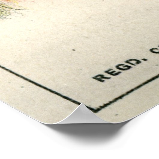 Poster Illusion optique, 1896 (Coin)