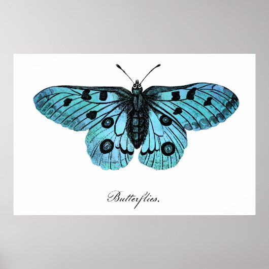 Poster Illustration 1800 (Devant)