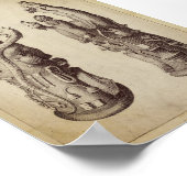 Poster Illustration alchimique vintage (Coin)