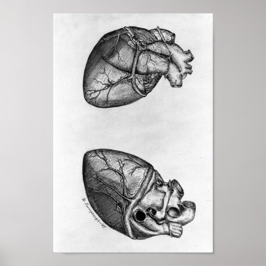 Poster Illustration anatomique vintage (Devant)