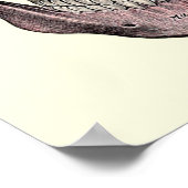 Poster Illustration anatomique vintage (Coin)