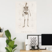 Poster Illustration anatomique vintage (Bureau à domicile)