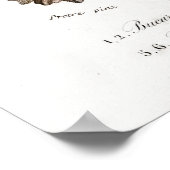 Poster Illustration animale vintage des mollusques (Coin)