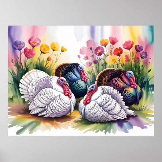 Poster Illustration aquarelle colorée de dindes (Devant)