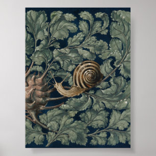Poster Illustration Art Nouveau botanique escargot antiqu