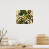 Poster Illustration Audubon Carolina Parrot Bird (Cuisine)