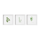 Poster Illustration Basil Stem | Herbes Cuisine Mur Art