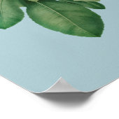 Poster Illustration botanique (Coin)