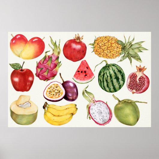 Poster Illustration botanique (Devant)