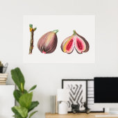 Poster Illustration botanique (Bureau à domicile)