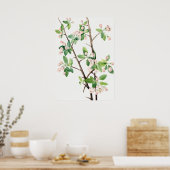 Poster Illustration botanique (Cuisine)