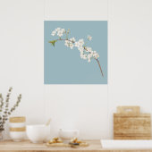 Poster Illustration botanique (Cuisine)