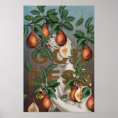 Poster Illustration botanique Collage Déesse Vénus (Devant)