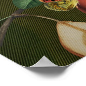 Poster Illustration botanique Collage Vénus (Coin)