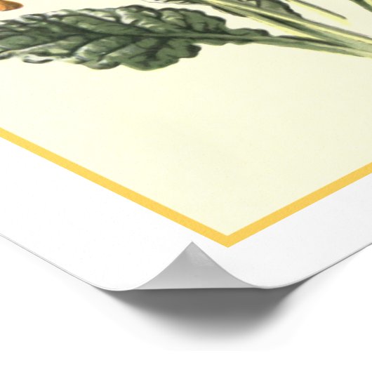 Poster Illustration botanique "Cowslip" (Coin)