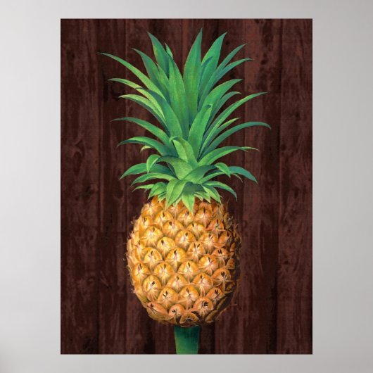 Poster Illustration botanique d'ananas contre l'acajou (Devant)
