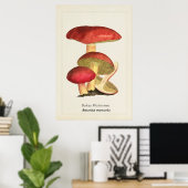 Poster Illustration botanique de champignon à capuchon ro (Bureau à domicile)