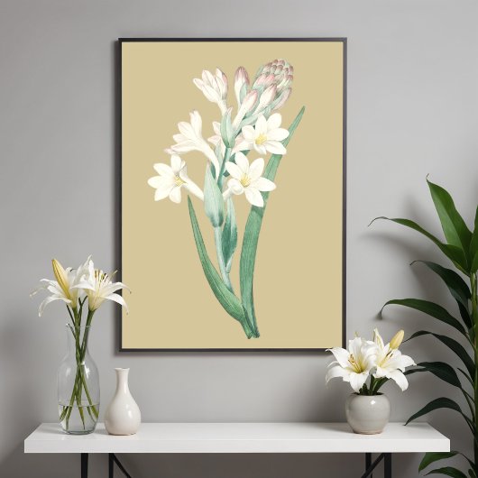 Poster Illustration botanique de Tuberose, Fleur Vintage