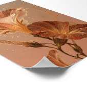 Poster Illustration botanique du lys calla orange brûlé (Coin)