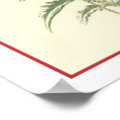 Poster Illustration botanique du "pavot commun" (Coin)