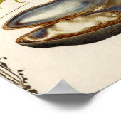 Poster Illustration botanique du texte de calligraphie an (Coin)