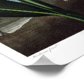 Poster Illustration botanique vintage (Coin)