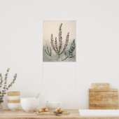Poster Illustration botanique vintage (Cuisine)