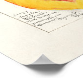 Poster Illustration botanique vintage (Coin)