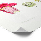 Poster Illustration botanique vintage (Coin)