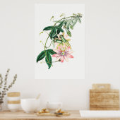 Poster Illustration botanique vintage (Cuisine)