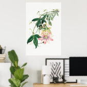Poster Illustration botanique vintage (Bureau à domicile)
