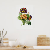 Poster Illustration botanique vintage (Cuisine)