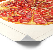 Poster Illustration botanique vintage (Coin)