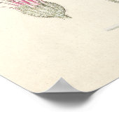 Poster Illustration botanique vintage (Coin)