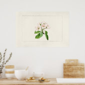 Poster Illustration botanique vintage (Cuisine)
