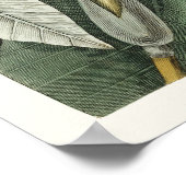 Poster Illustration botanique vintage (Coin)