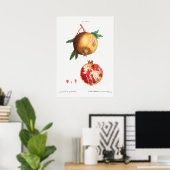 Poster Illustration botanique vintage (Bureau à domicile)