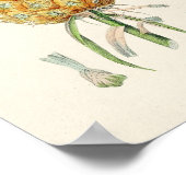Poster Illustration botanique vintage (Coin)